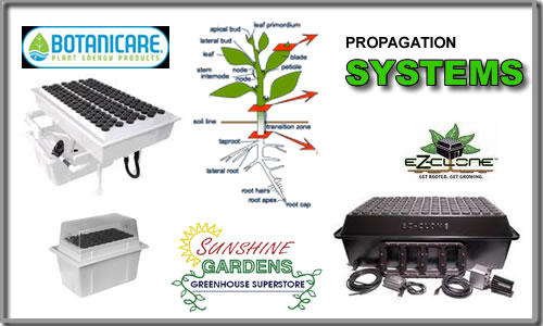 Propagation cloning systems